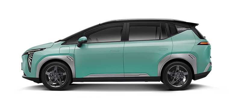 Vitality Green with Black Roof